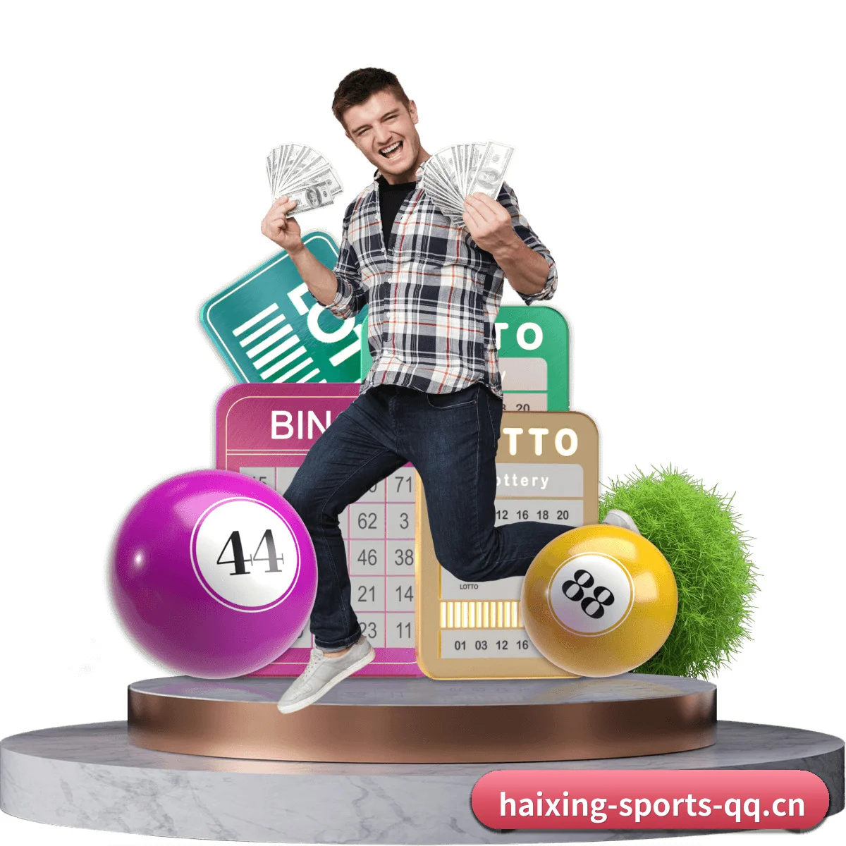 海星体育 APP 界面